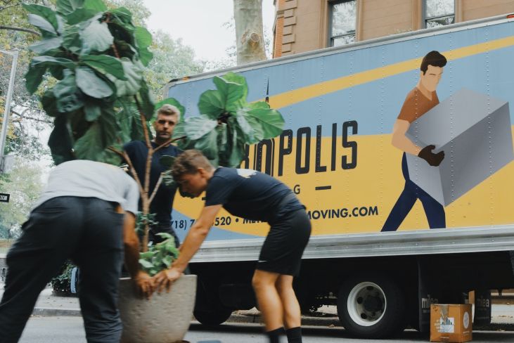Movers carrying a large potted plant in front of a moving truck.